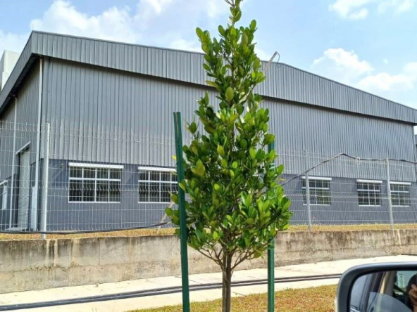 Factories for rent @ XME Industrial Park