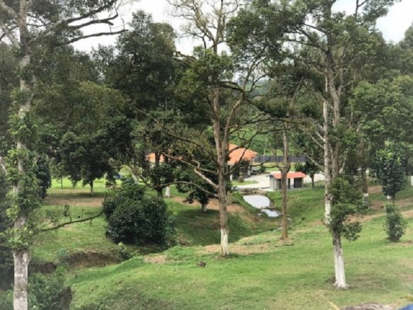 Bayan Lepas Penang, Land for sale 2025