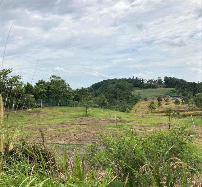 Semenyih Industrial Land for sale, Selangor, Malaysia