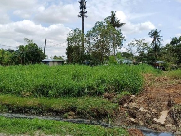Agriculture Land for Rent in Bukit Lanchong, Selangor