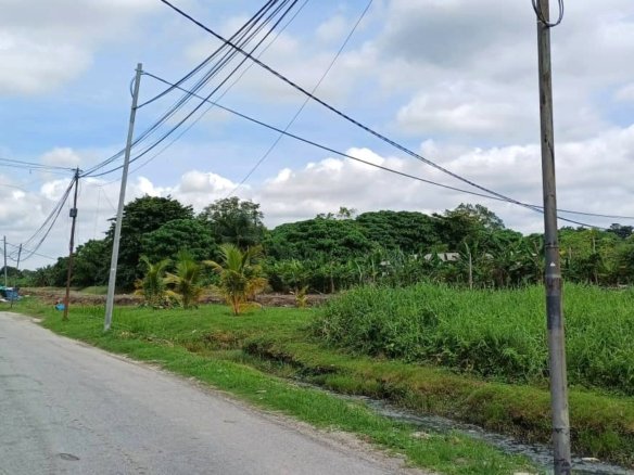 Agriculture Land for Rent in Bukit Lanchong, Selangor