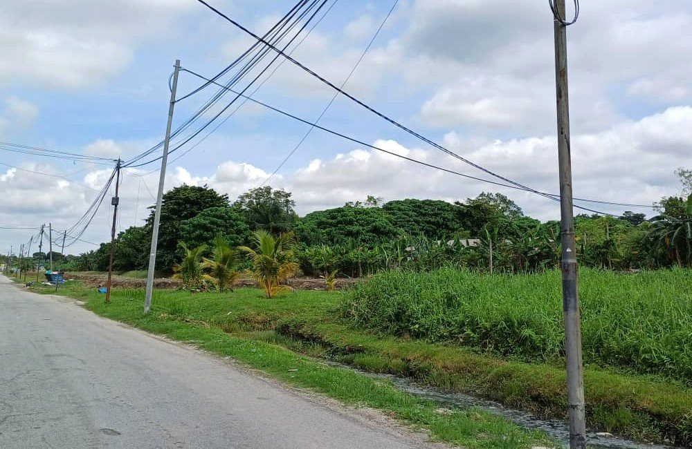 Agriculture Land for Rent in Bukit Lanchong, Selangor