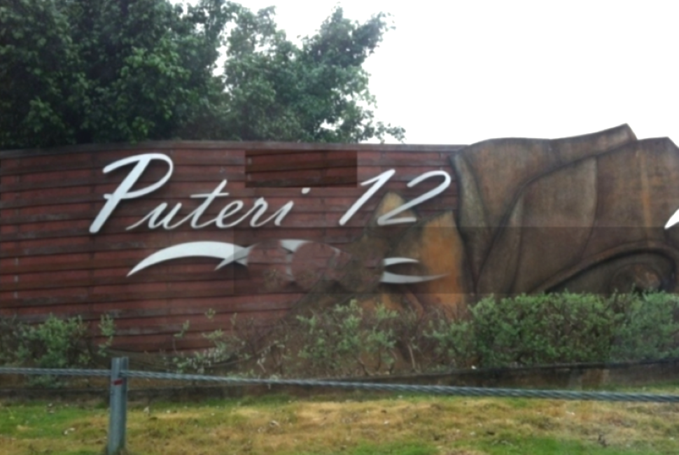 Dream Landed Homes for Sale | Bandar Puteri 12, Puchong